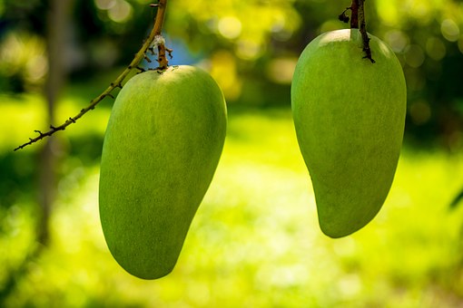 Unlocking the Hidden Benefits of the African Mango  Sweeter Juice
